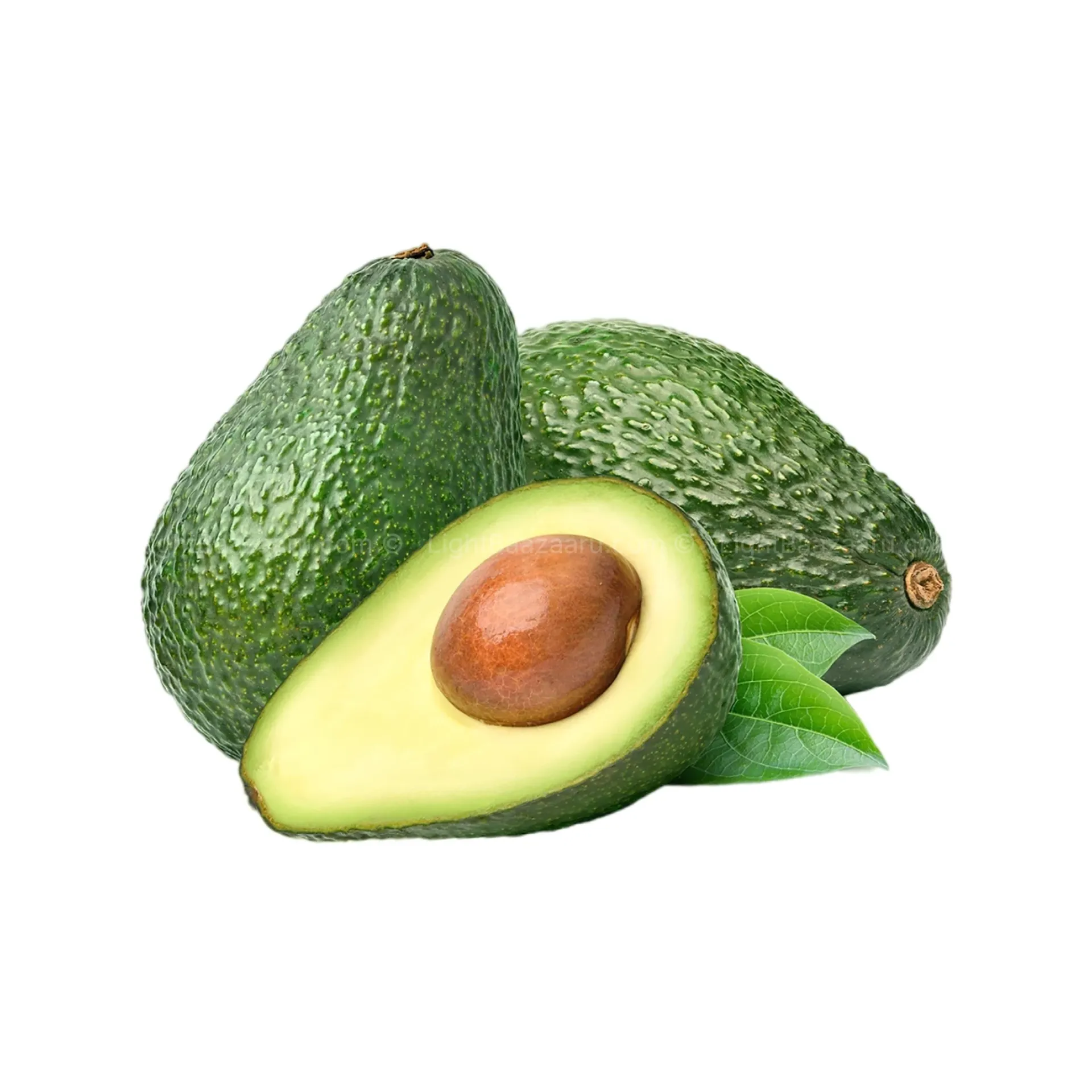 [100413] FRESH AVOCADO