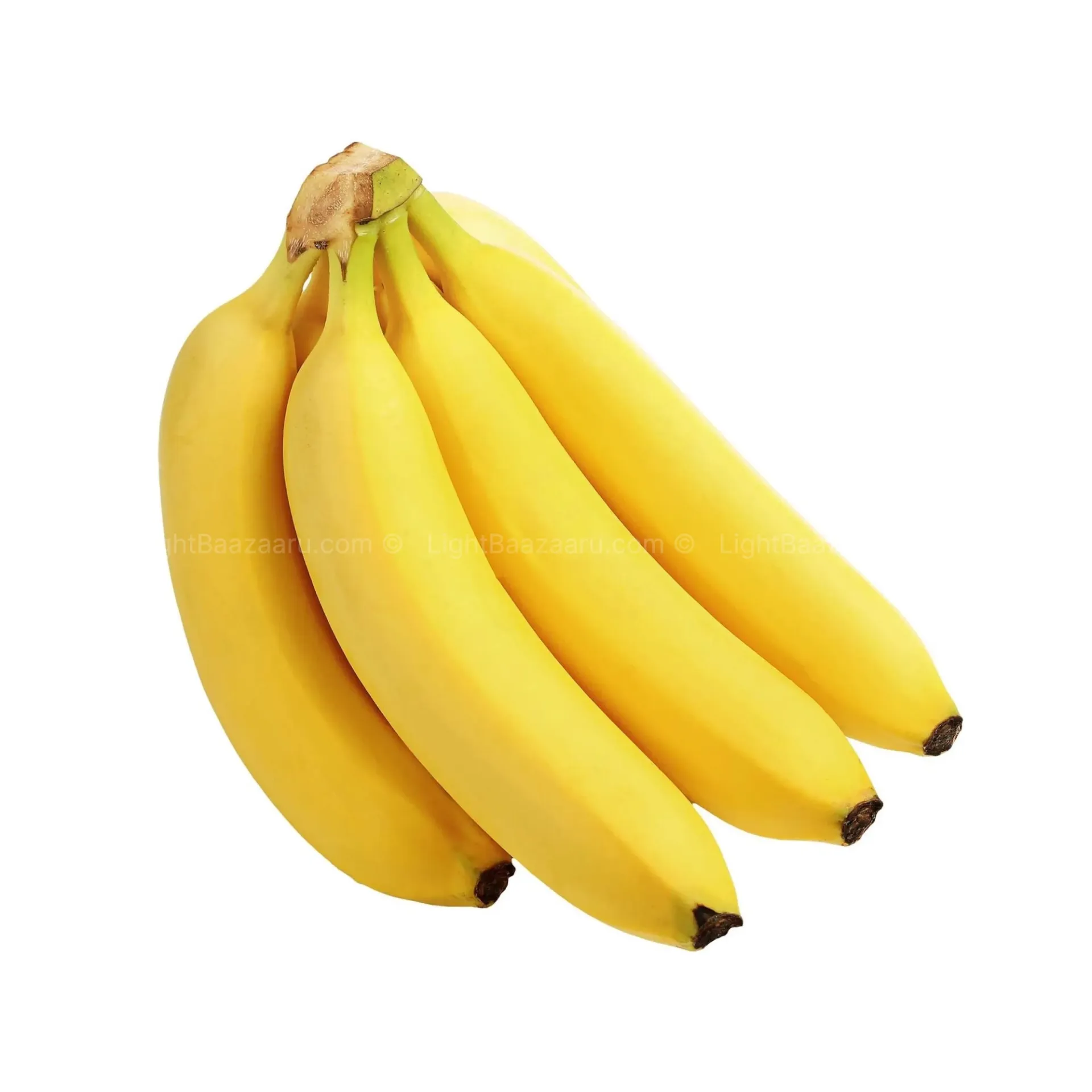 [100415] FRESH BANANA
