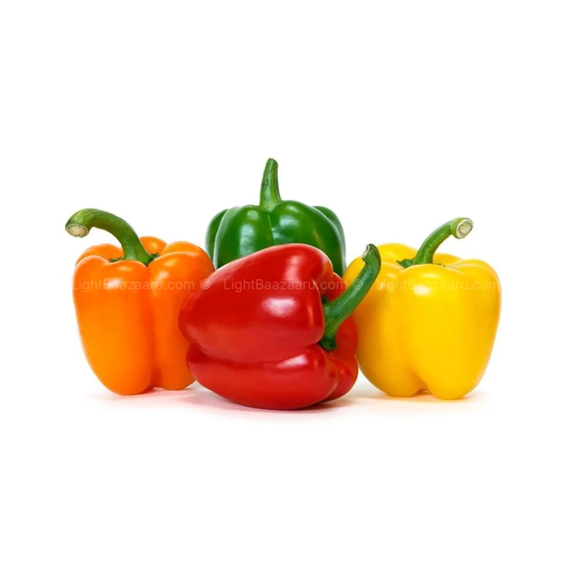 [100418] FRESH BELL PEPPER (MIX)